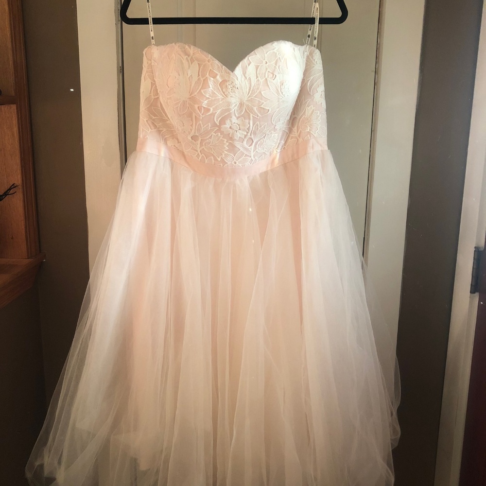 ModCloth chichi London blush dress